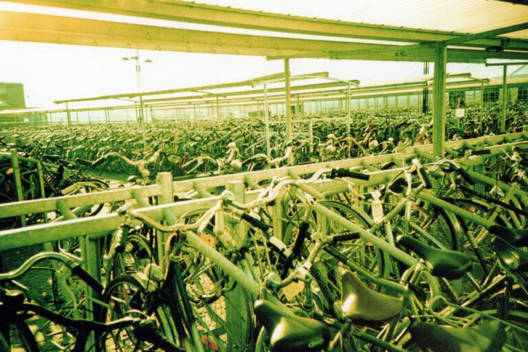 Agritech Innovation in East Africa Client: Twiga Foods